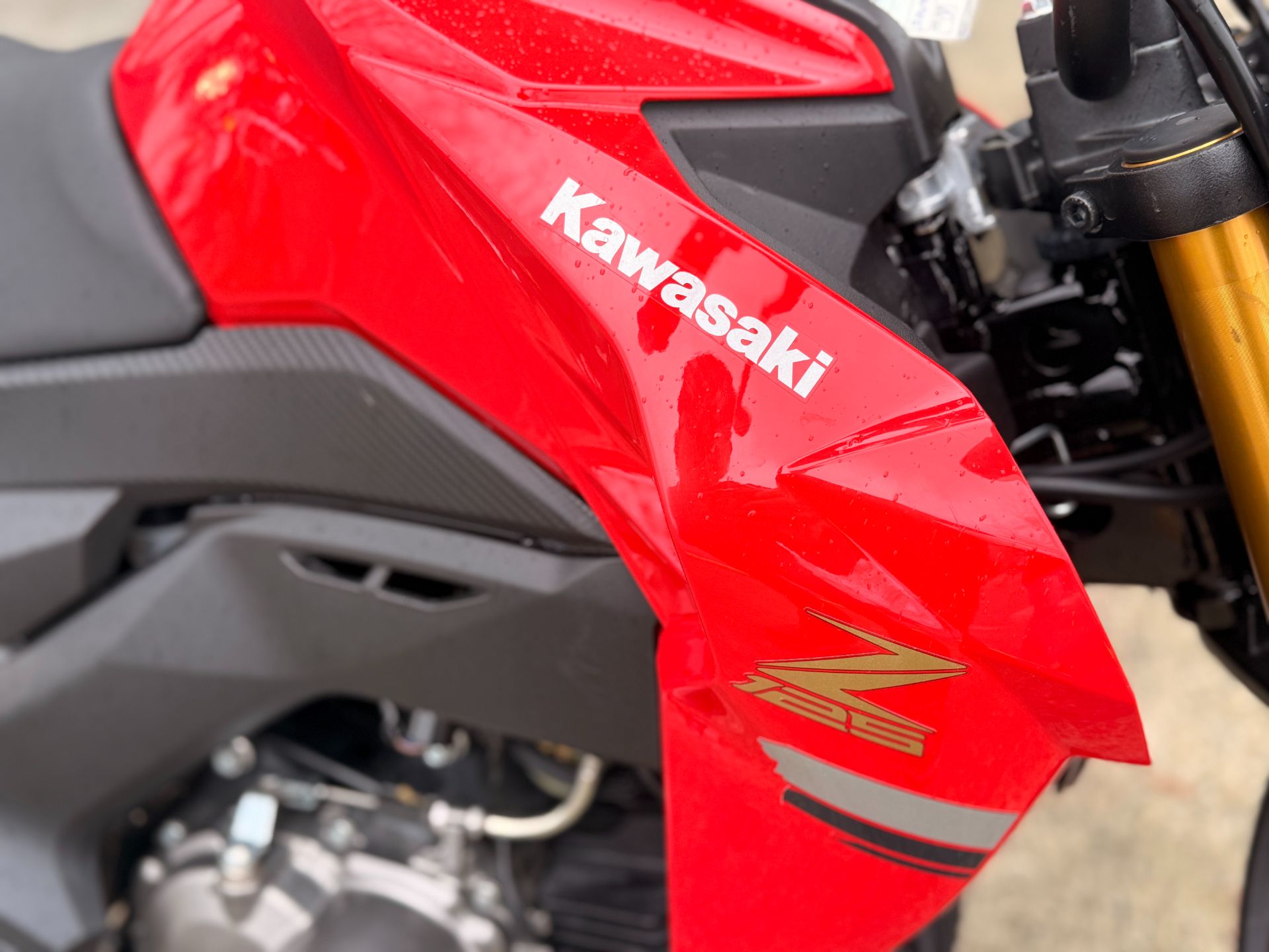 Used 2023 Kawasaki Z125 Pro, Portland OR | Specs, Price, Photos