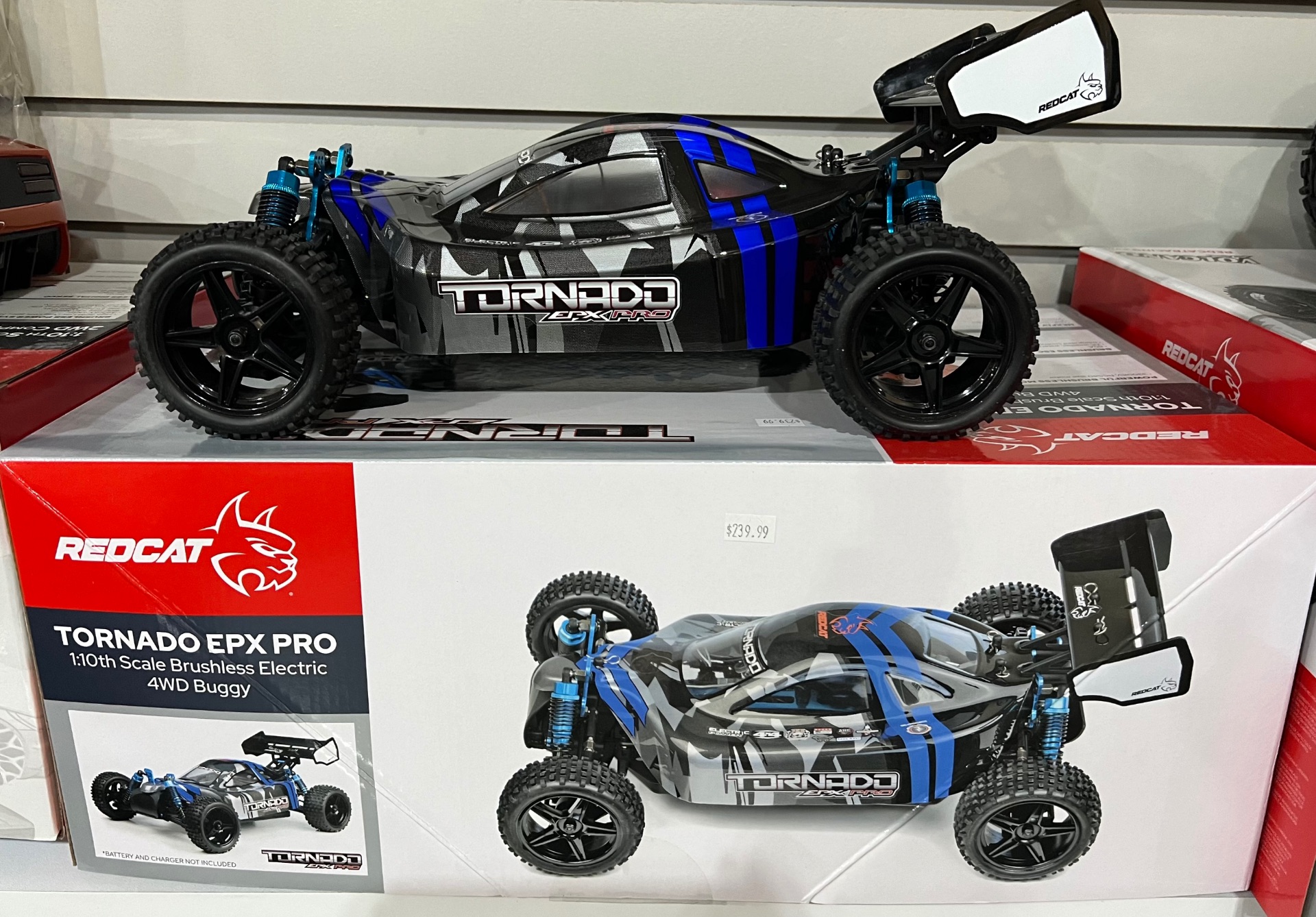 New 2024 REDCAT Tornado EPX PRO RC Buggy, Waynesboro MS | Specs