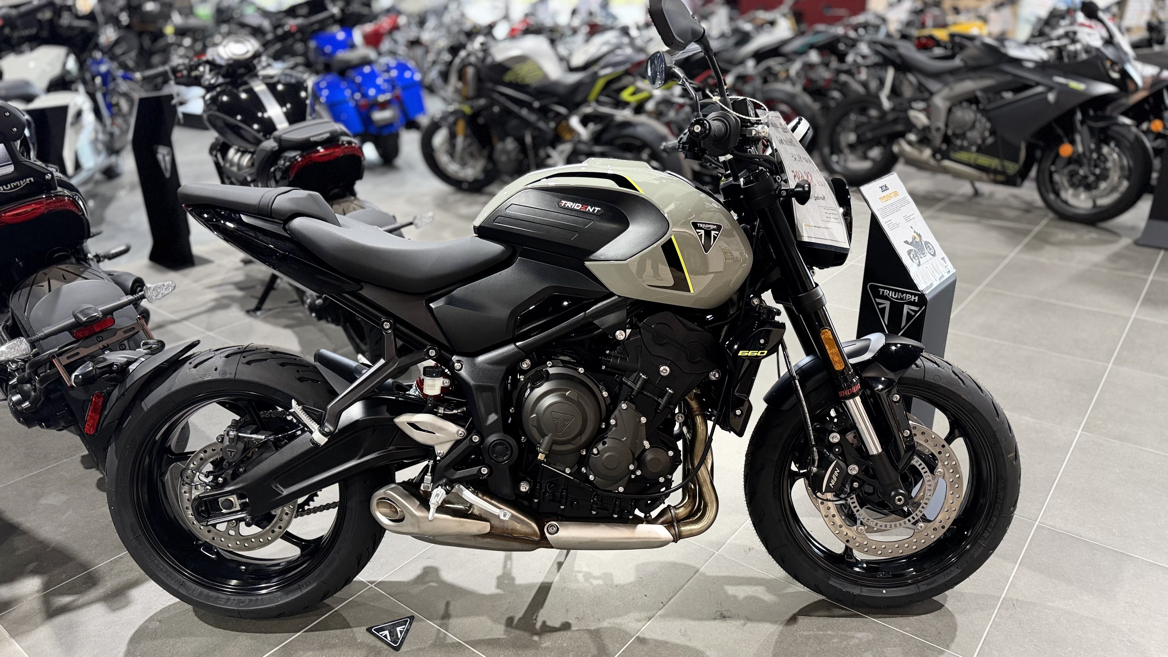 2026 Triumph Trident 660 1