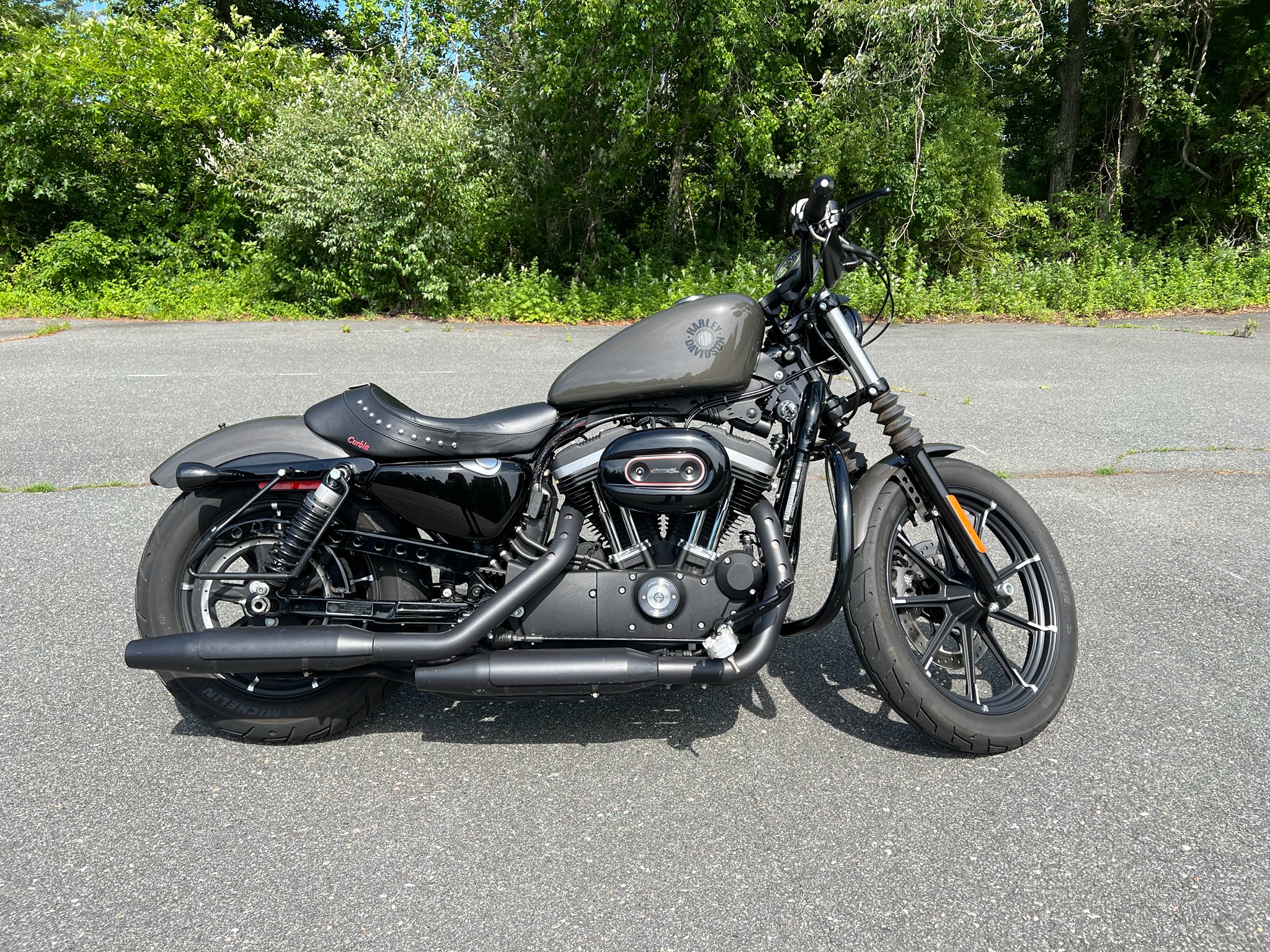 2019 Harley-Davidson Iron 883 for sale 1198332
