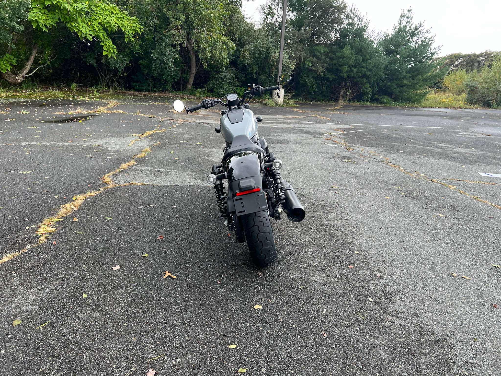 2026 Harley-Davidson Nightster® 7