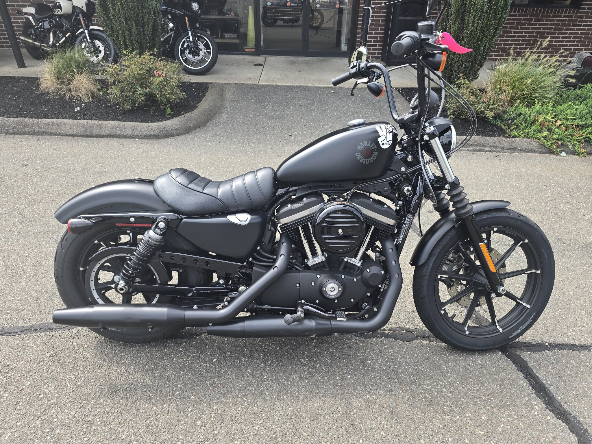2021 Harley-Davidson Iron 883 for sale 1272762