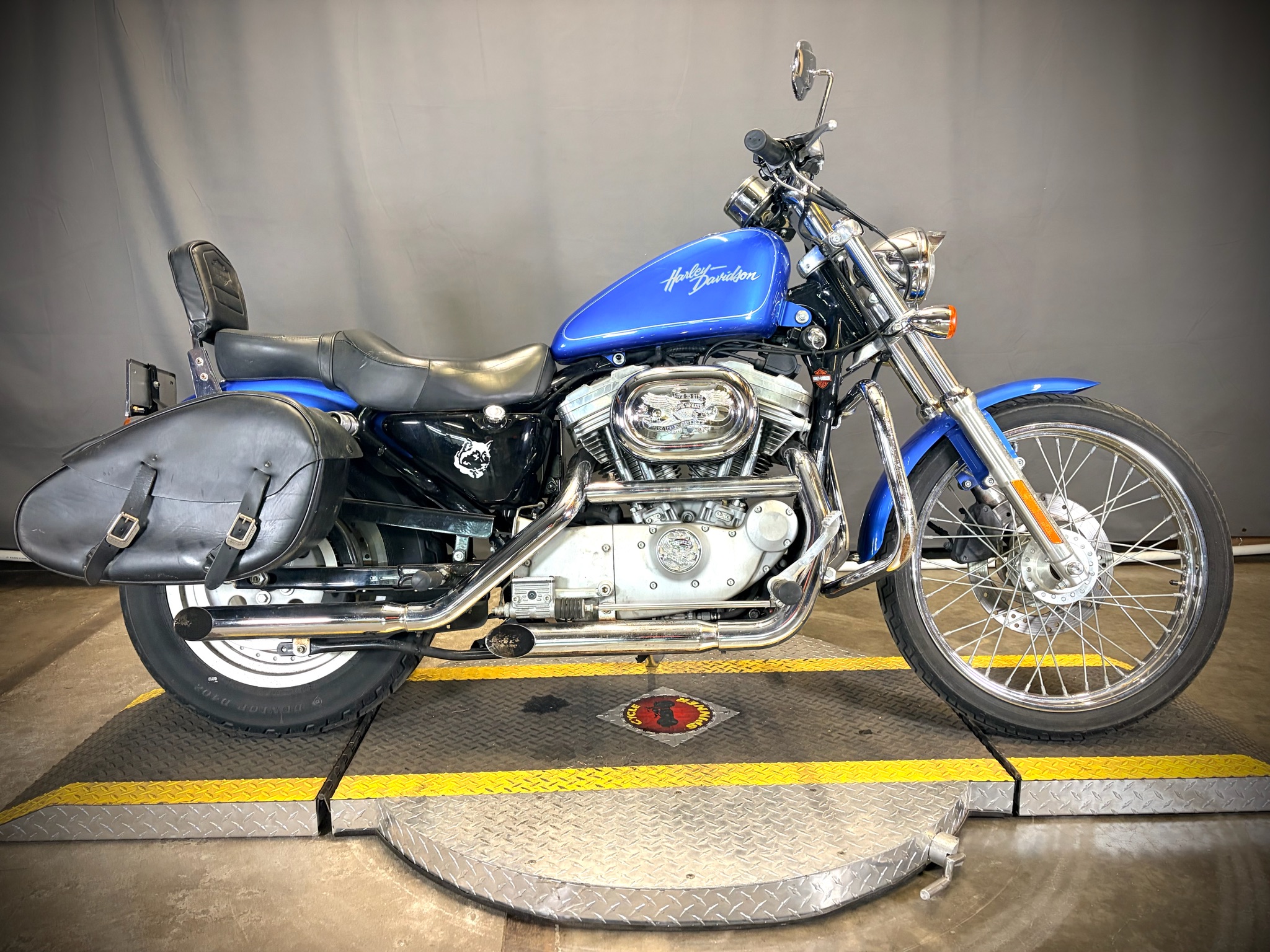 2002 Harley-Davidson XL 883C Sportster® Custom 2