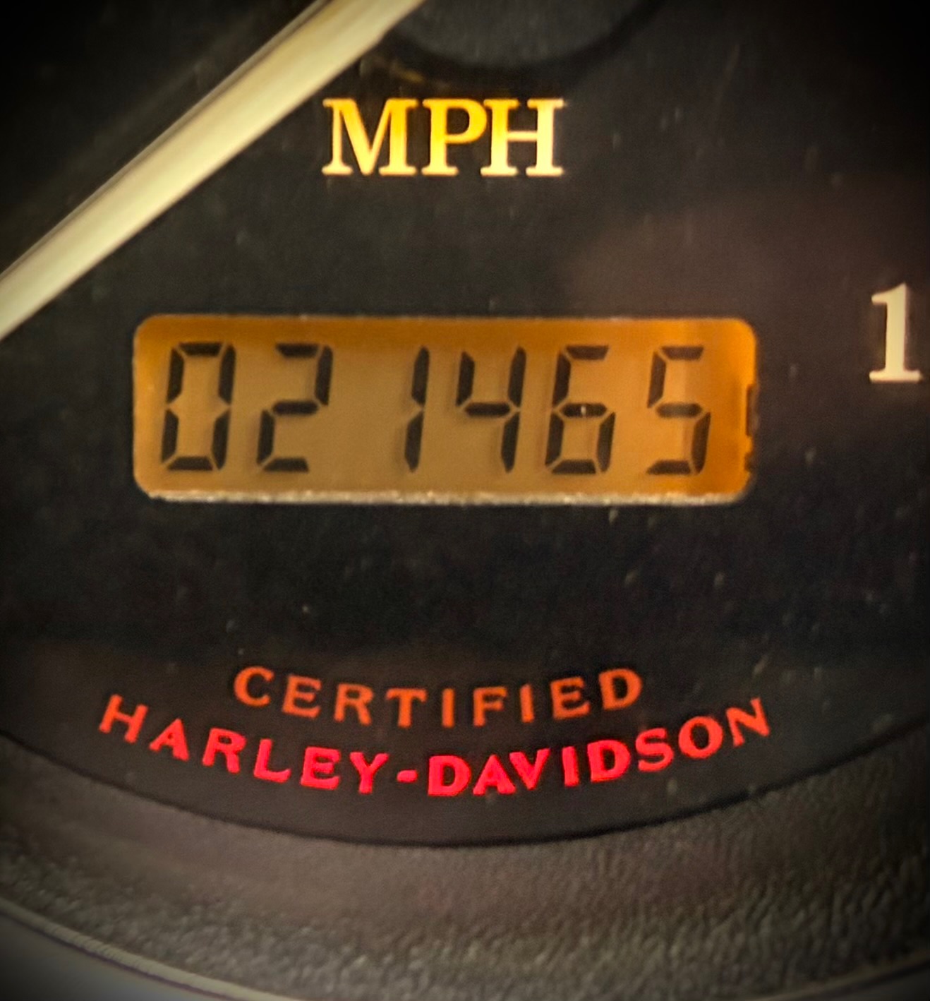 2002 Harley-Davidson XL 883C Sportster® Custom 7