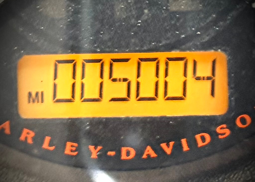2016 Harley-Davidson Iron 883 7