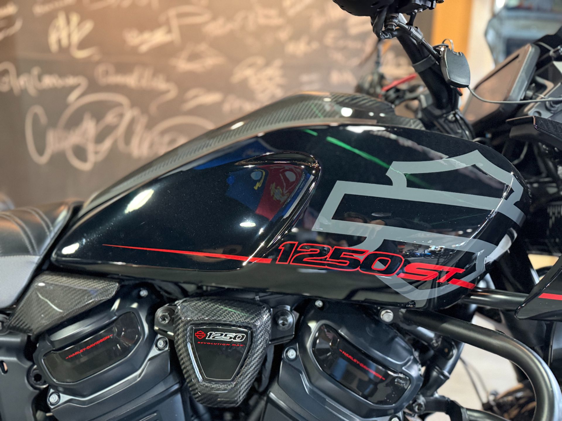 2025 Harley-Davidson Pan America® 1250 ST 9