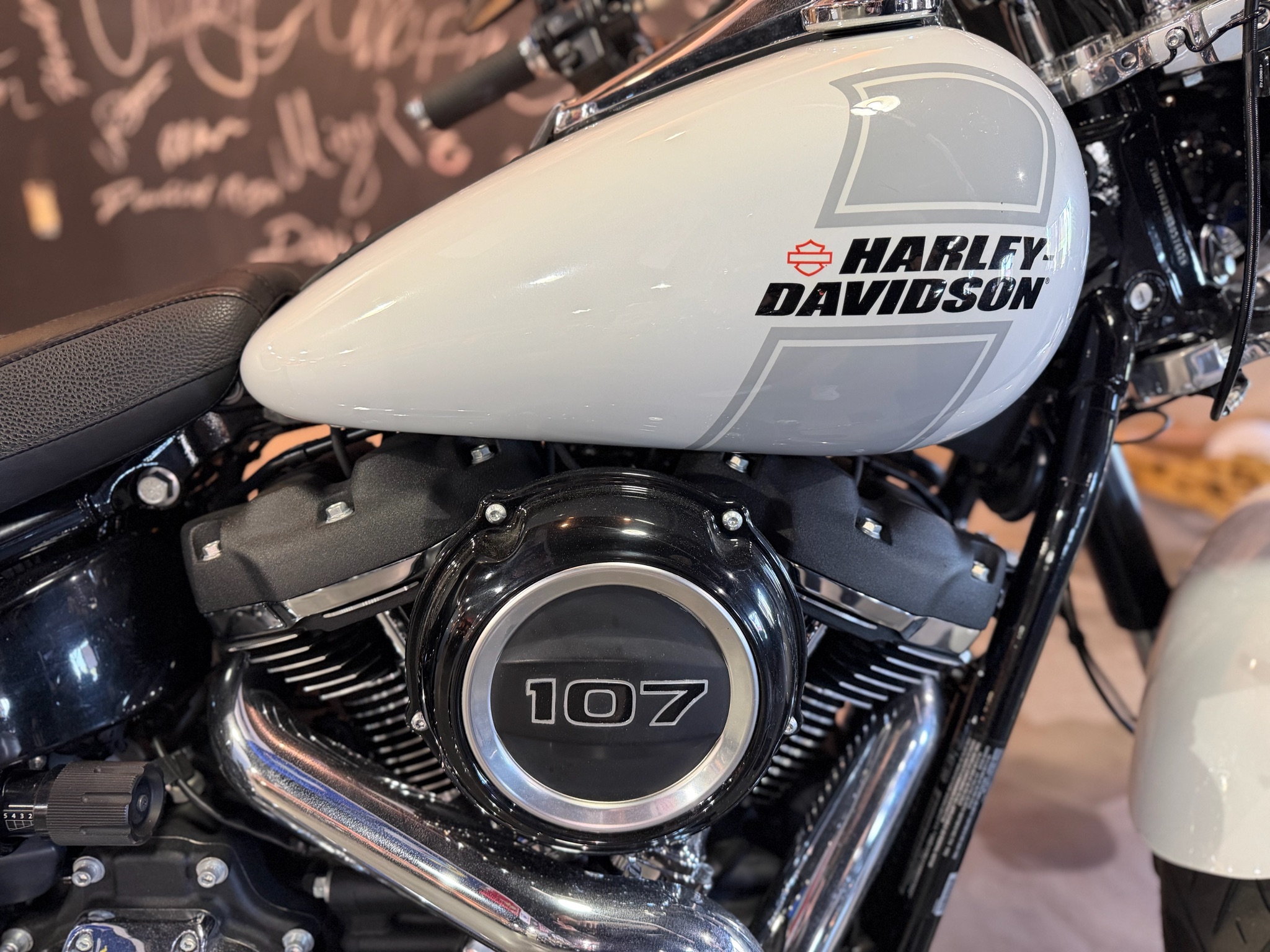 2021 Harley-Davidson Sport Glide® 6