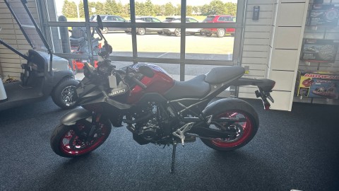 2026 Suzuki GSX-8S in Saint Joseph, Minnesota - Photo 2