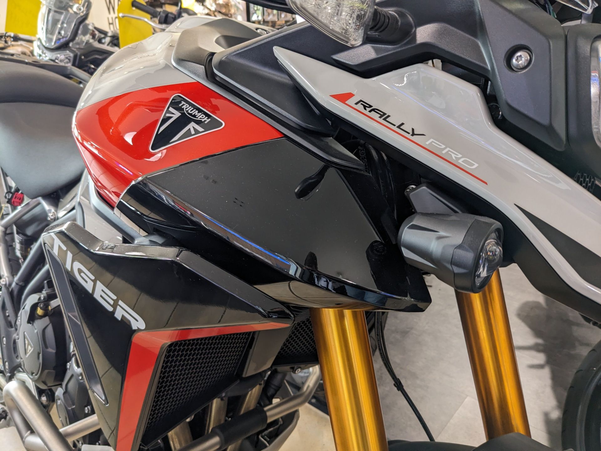 2025 Triumph Tiger 900 Rally Pro in Warren, Ohio - Photo 4