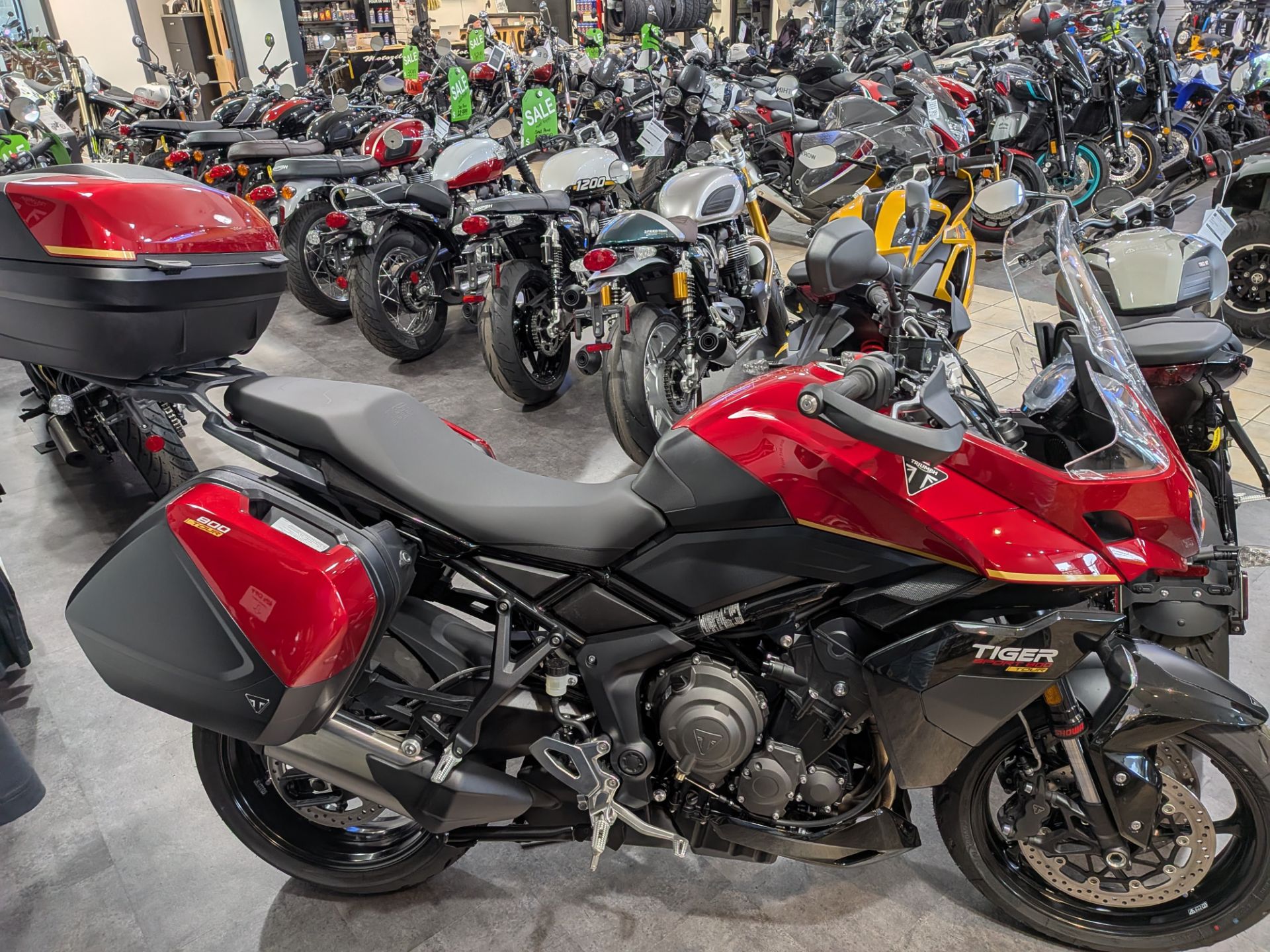 2026 Triumph Tiger Sport 800 Tour for sale 1126440