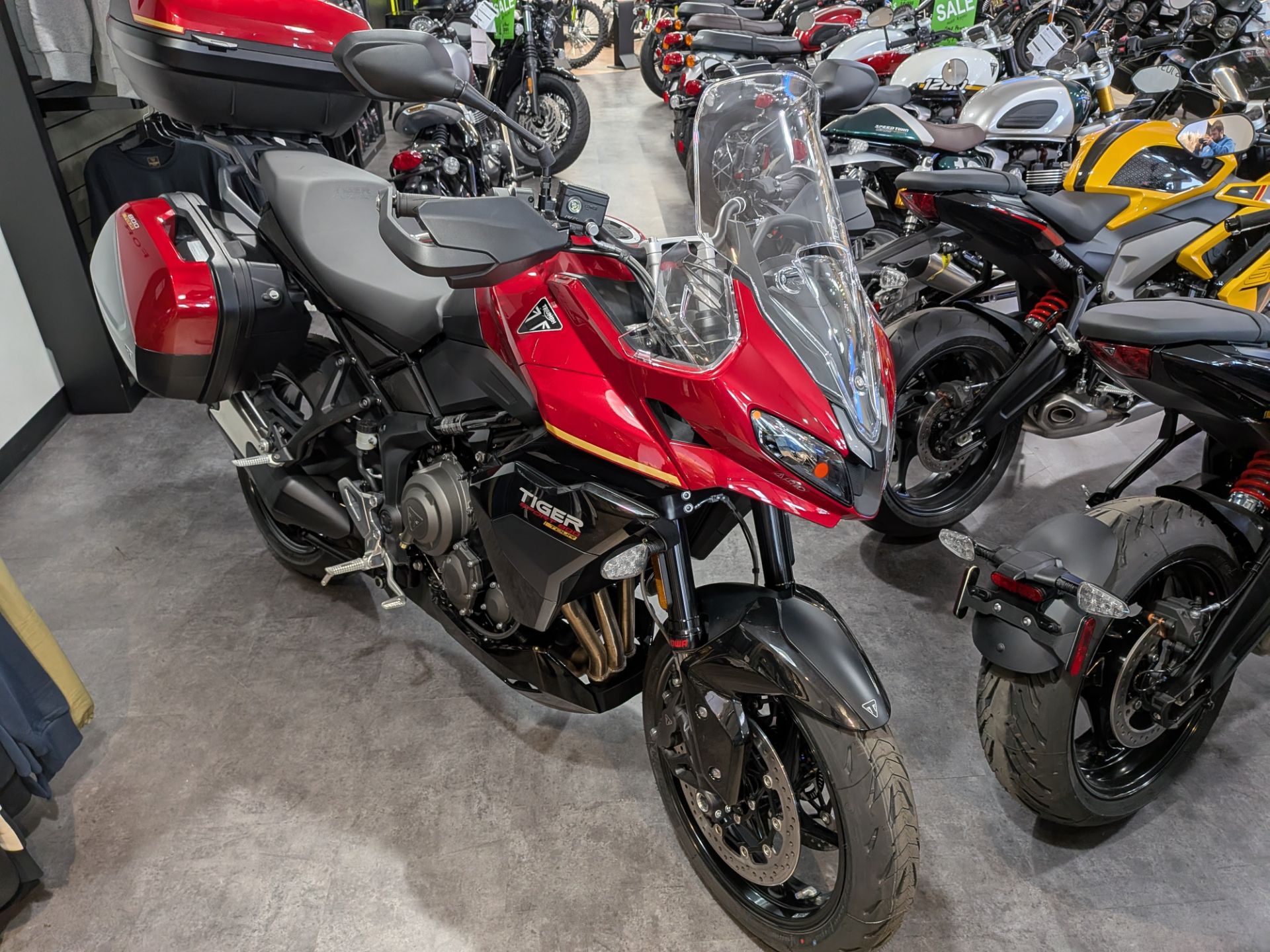 2026 Triumph Tiger Sport 800 Tour 2