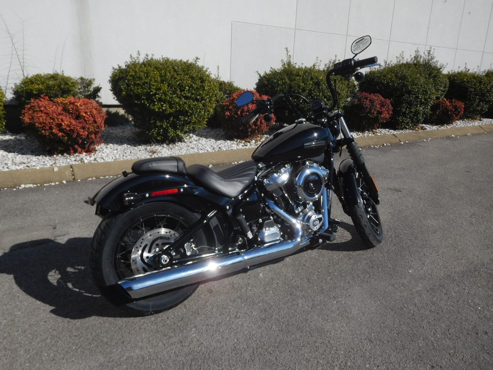 2025 Harley-Davidson Street Bob® in Murfreesboro, Tennessee - Photo 3