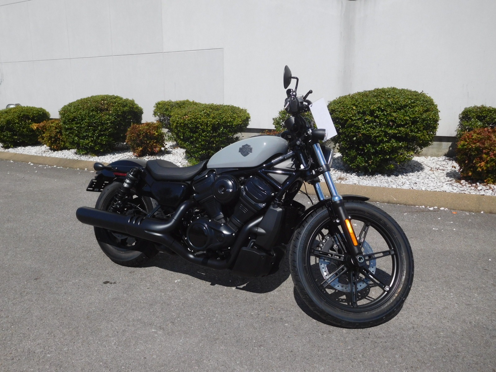 2026 Harley-Davidson Nightster® 1