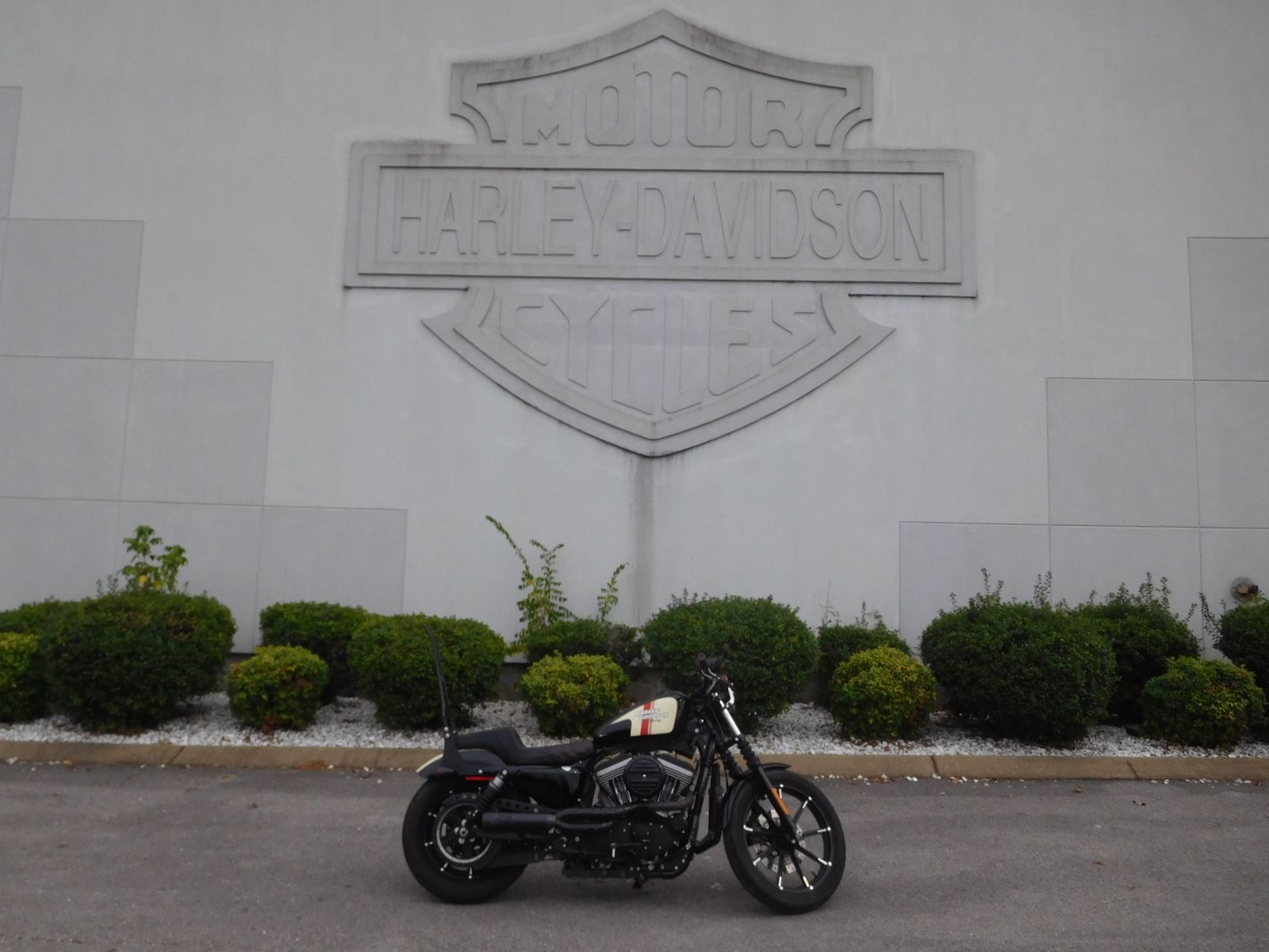 2017 Harley-Davidson Iron 883™ in Murfreesboro, Tennessee - Photo 16