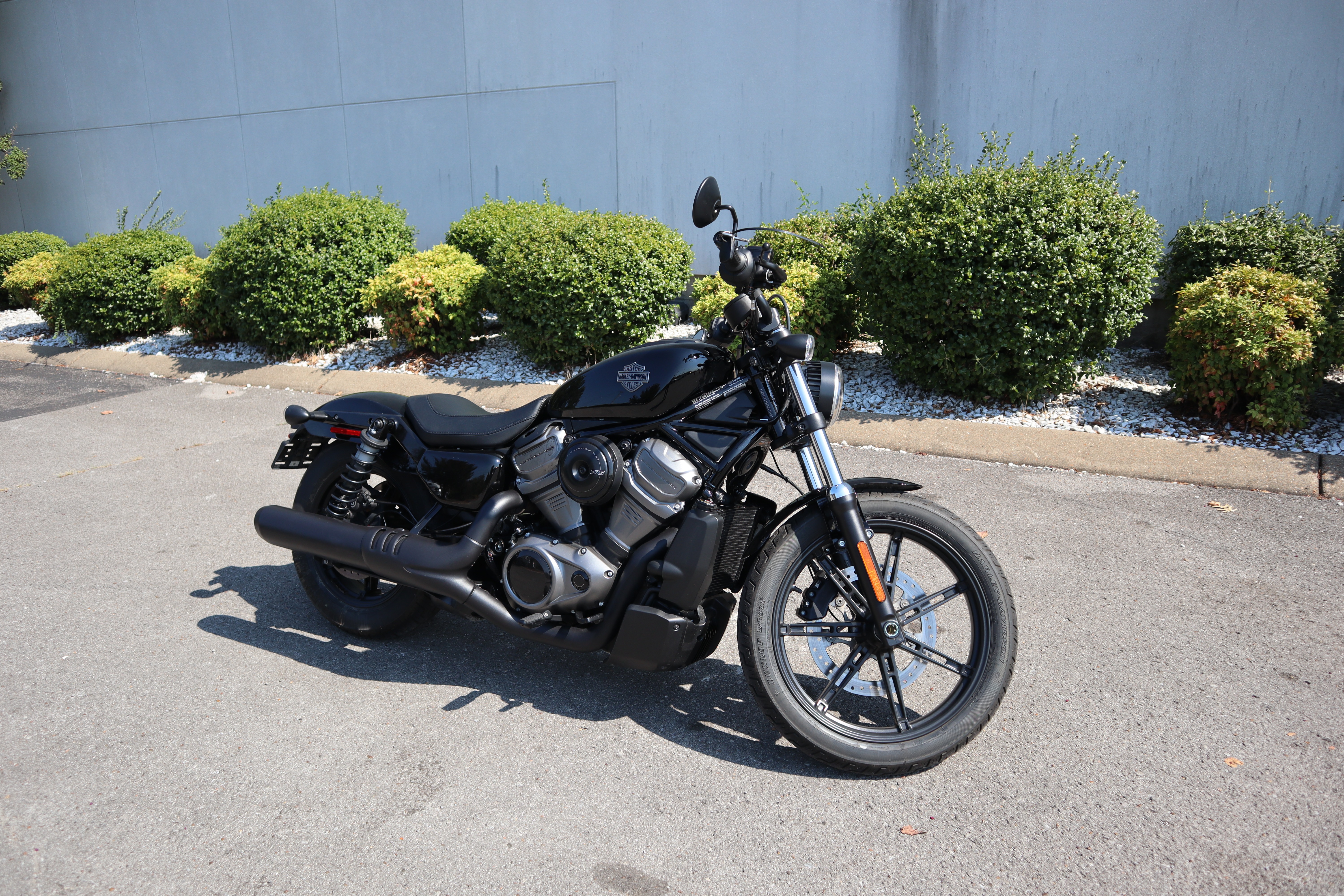 2023 Harley-Davidson Nightster® for sale 1284139