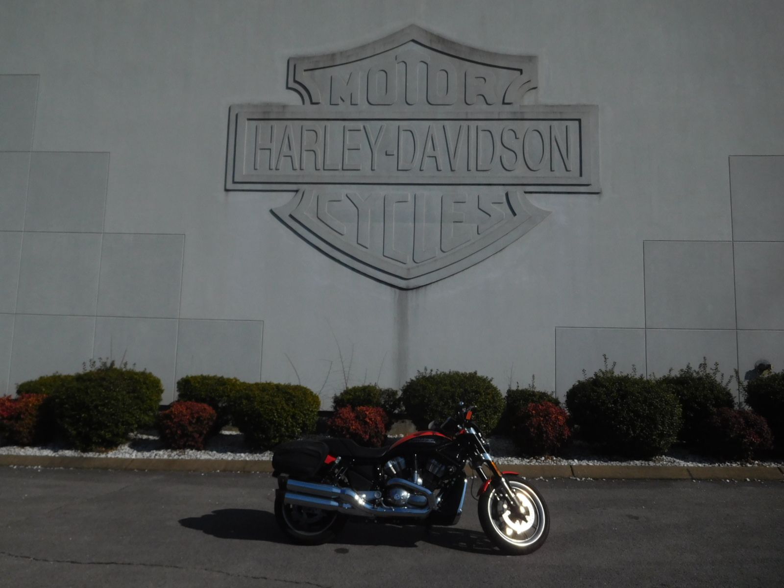 2007 Harley-Davidson VRSCR Street Rod® in Murfreesboro, Tennessee - Photo 13