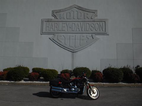 2007 Harley-Davidson VRSCR Street Rod® in Murfreesboro, Tennessee - Photo 13