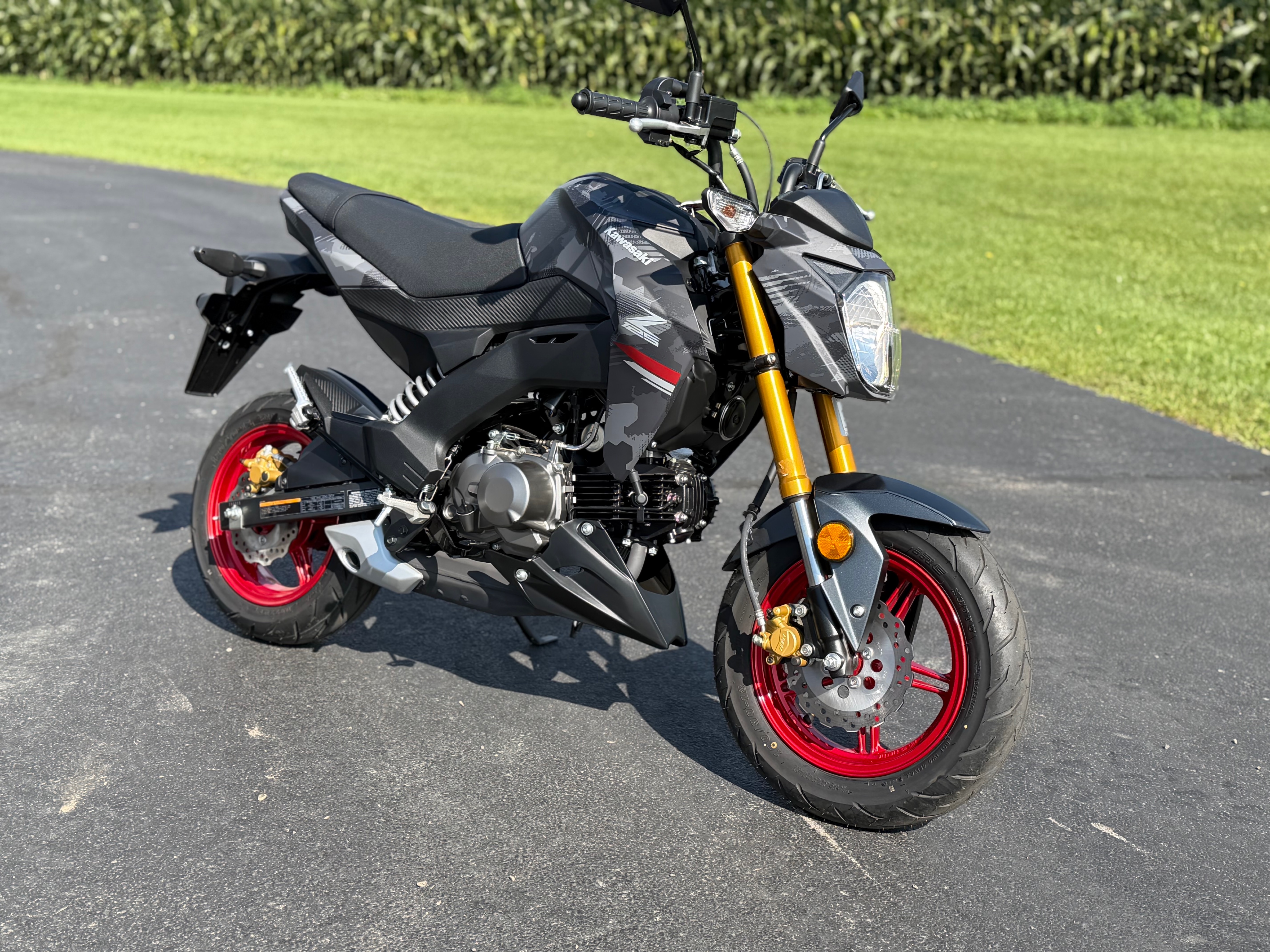 2024 Kawasaki Z125 Pro for sale 1258037