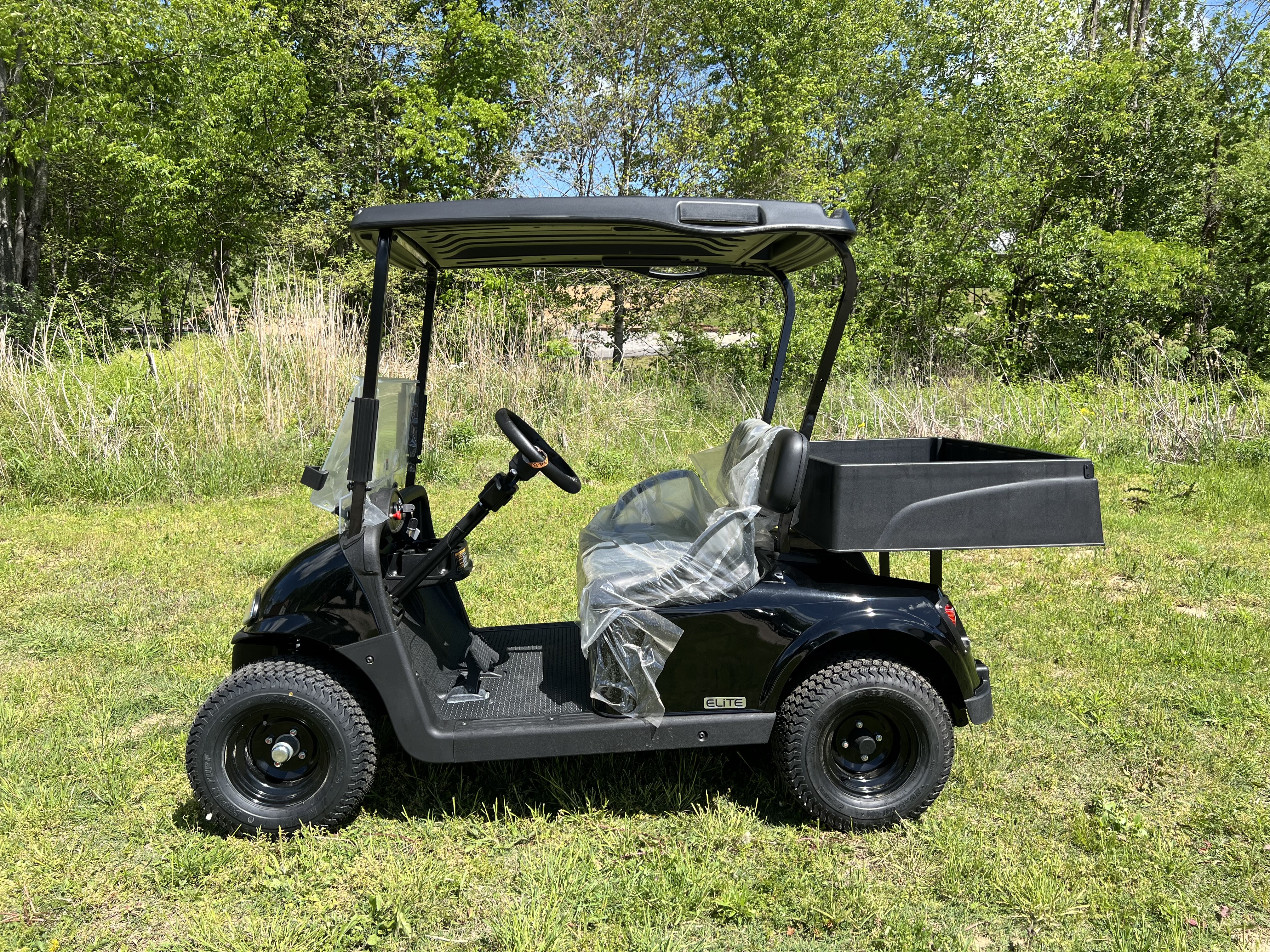 2020 EZGO Freedom photo 2