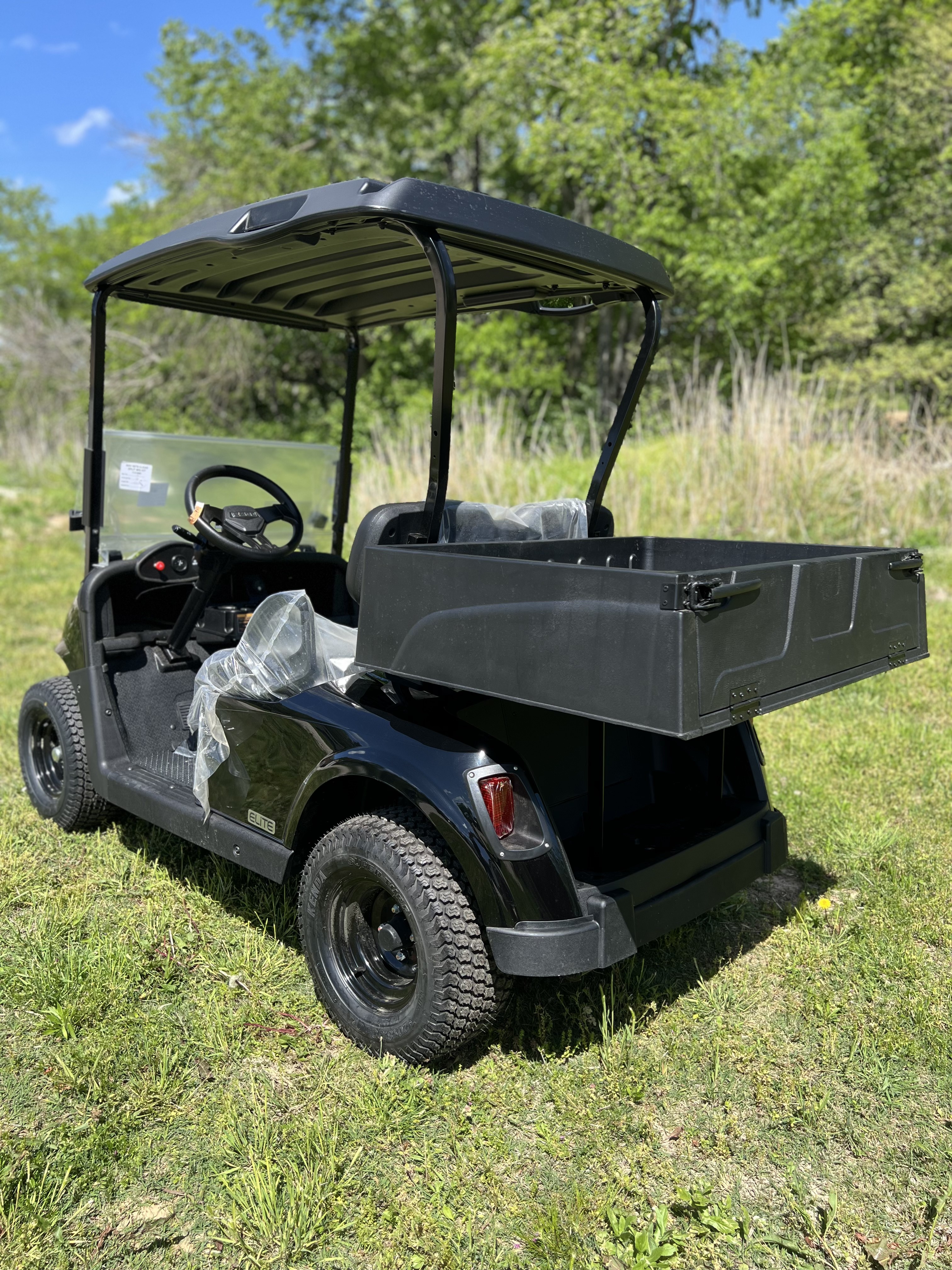 2020 EZGO Freedom photo 3