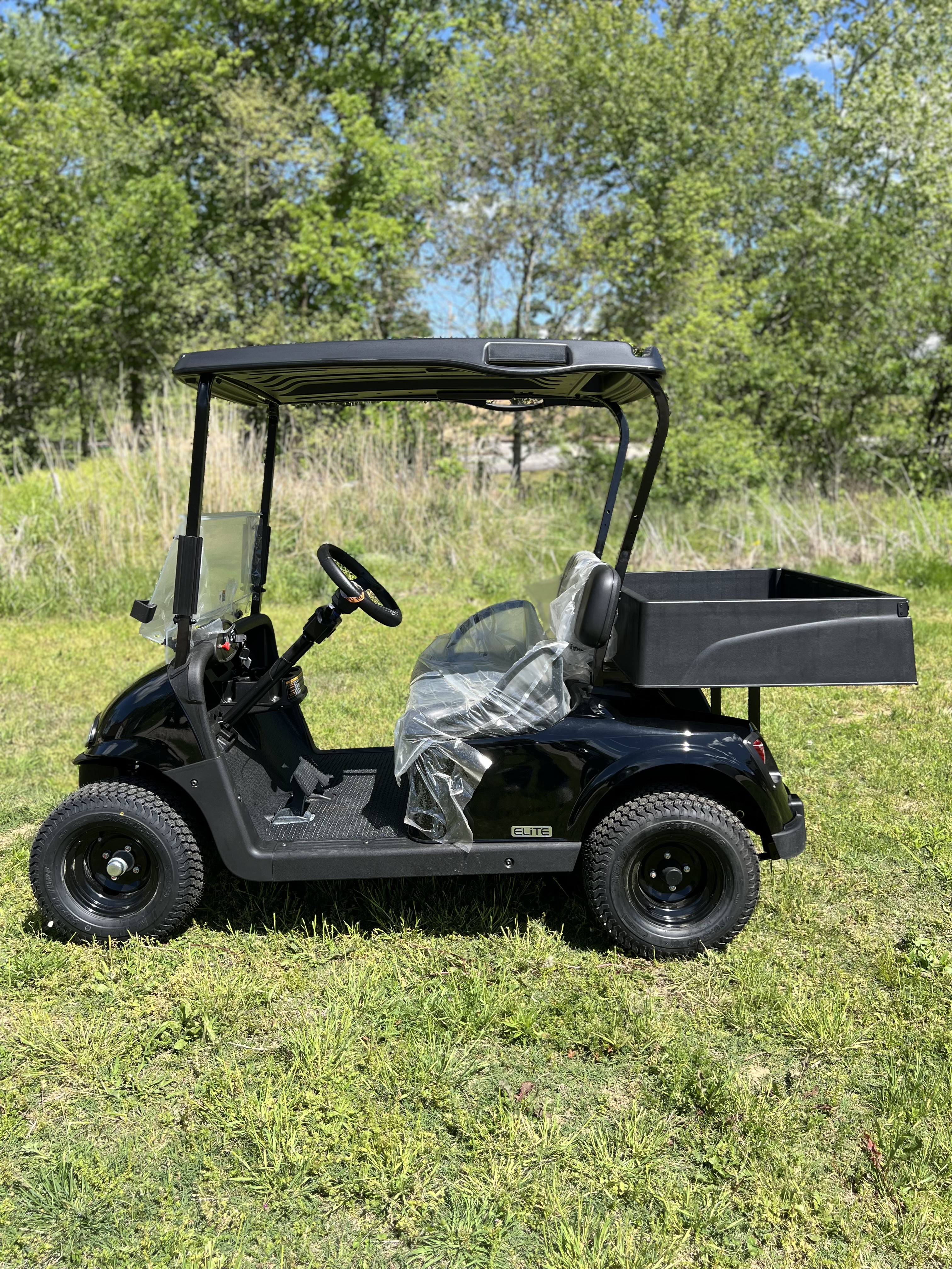 2020 EZGO Freedom photo 4