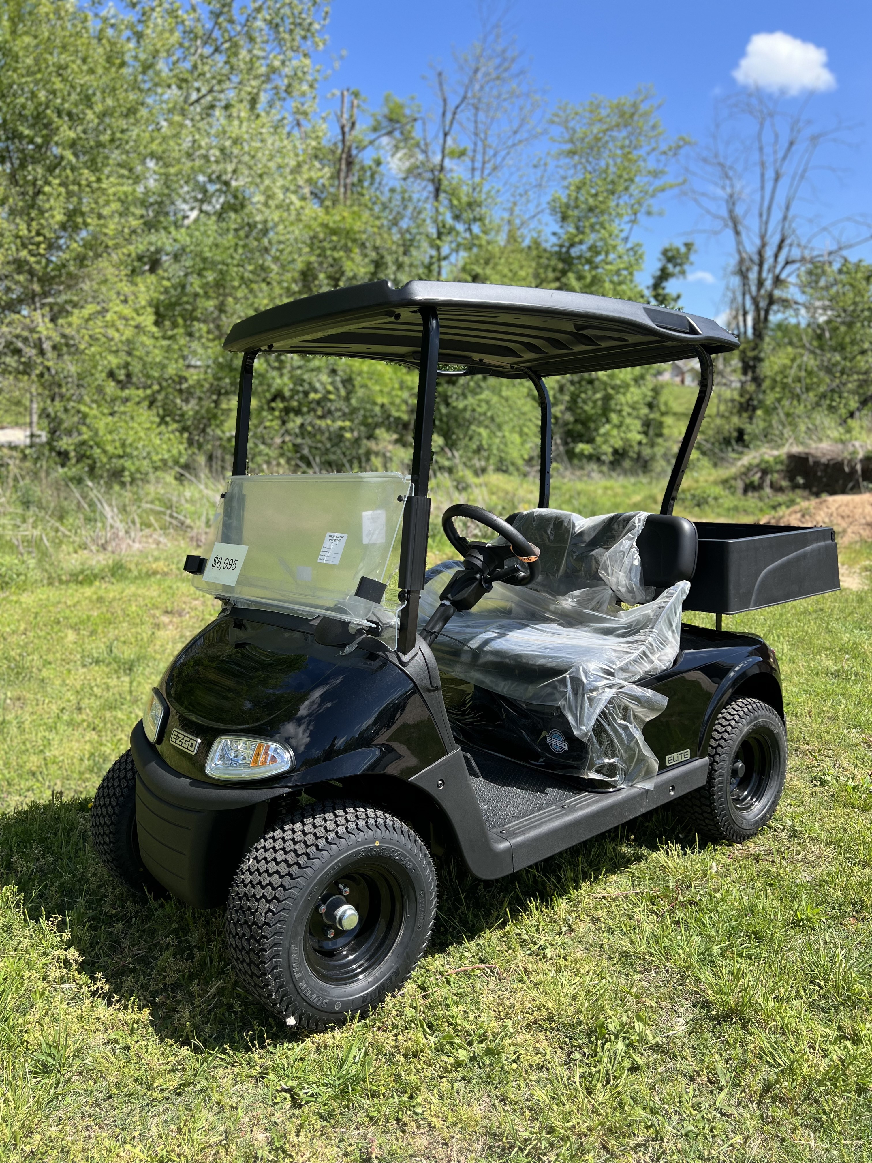 2020 EZGO Freedom photo 5