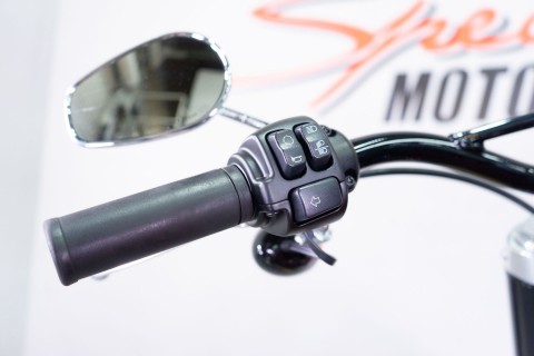 2021 Harley-Davidson Softail Slim® in Sacramento, California - Photo 15