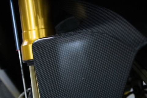 2019 Ducati Panigale V4 R in Sacramento, California - Photo 18