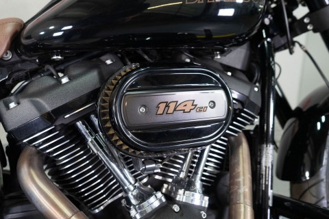 2021 Harley-Davidson Low Rider®S in Sacramento, California - Photo 11