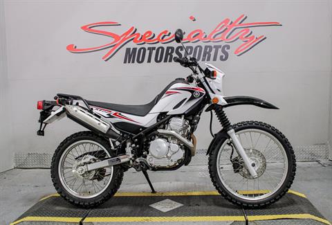 エース Used Off-Road Vehicle Dealer | Specialty Motorsports