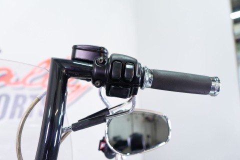 2005 Harley-Davidson FLSTN/FLSTNI Softail® Deluxe in Sacramento, California - Photo 16