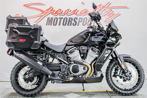 user Used Motorcycle Shop | Specialty Motorsports