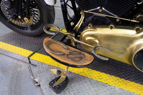 2011 Harley-Davidson Softail® Cross Bones™ in Sacramento, California - Photo 19