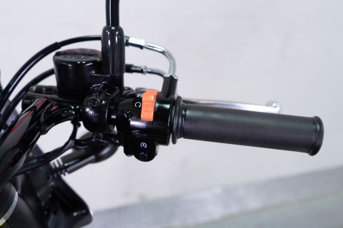 2019 Kawasaki W800 Cafe in Sacramento, California - Photo 14