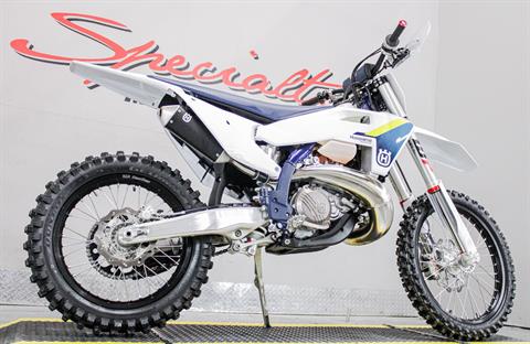 HUS386009 - 2025 - Husqvarna - TX 300 Lower Right Side Angle - Photo 15