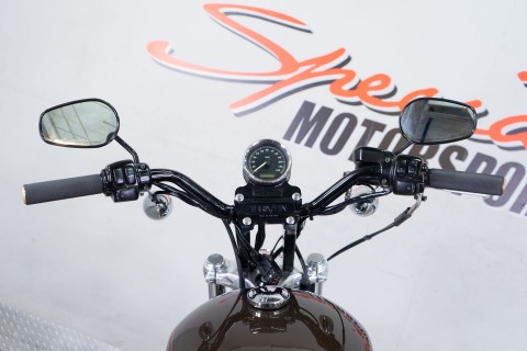 2013 Harley-Davidson Sportster® 1200 Custom 110th Anniversary Edition in Sacramento, California - Photo 19