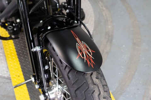 2009 Harley-Davidson Softail® Cross Bones™ in Sacramento, California - Photo 15
