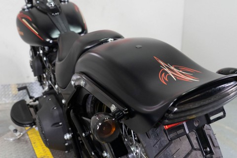 2009 Harley-Davidson Softail® Cross Bones™ in Sacramento, California - Photo 20