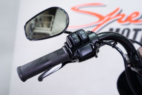 2019 Harley-Davidson Iron 1200™ in Sacramento, California - Photo 11