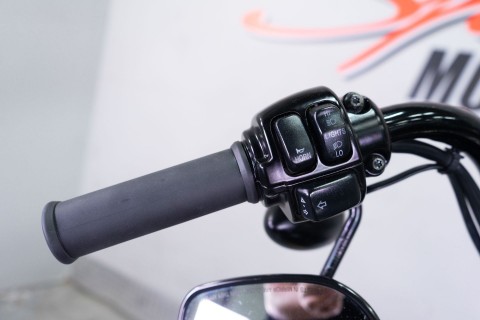 2008 Harley-Davidson Softail® Cross Bones™ in Sacramento, California - Photo 15