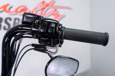 2008 Harley-Davidson Softail® Cross Bones™ in Sacramento, California - Photo 16