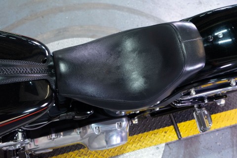 2008 Harley-Davidson Softail® Cross Bones™ in Sacramento, California - Photo 20