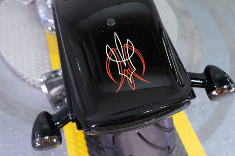 2008 Harley-Davidson Softail® Cross Bones™ in Sacramento, California - Photo 19