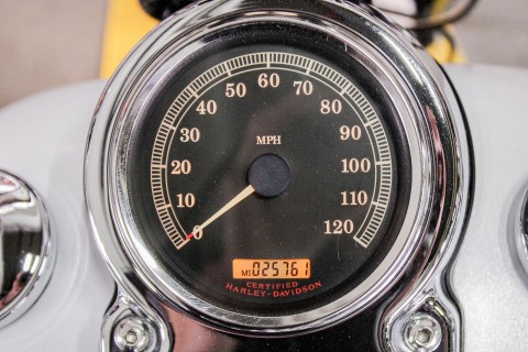 HAR301062 - 2011 - Harley-Davidson - Dyna® Fat Bob® Odometer - Photo 18