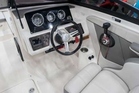 2020 SEA RAY BOATS SPX 190 in Sacramento, California - Photo 10