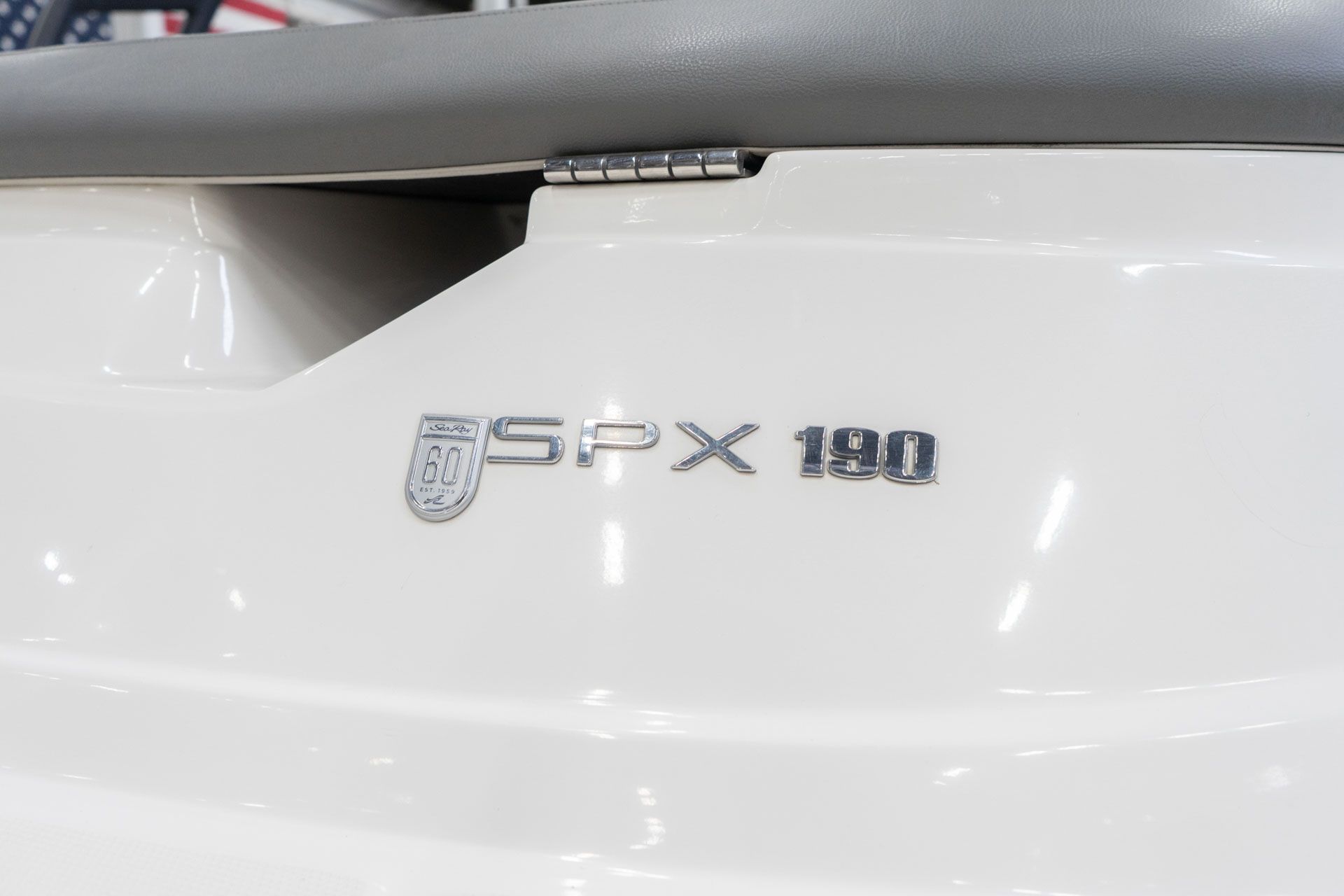 2020 SEA RAY BOATS SPX 190 in Sacramento, California - Photo 12