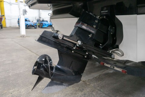 2020 SEA RAY BOATS SPX 190 in Sacramento, California - Photo 14