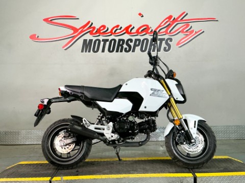 Used Motorcycle Shop | Specialty Motorsports