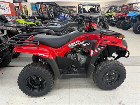 2024 Kawasaki Brute Force 300 — photo 1 of 9