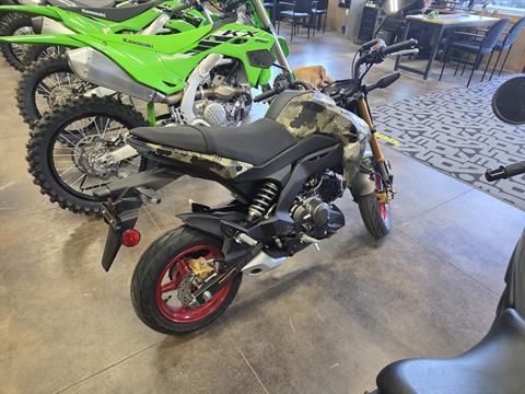 New 2025 Kawasaki Z125 Pro Motorcycles in Ponderay, ID